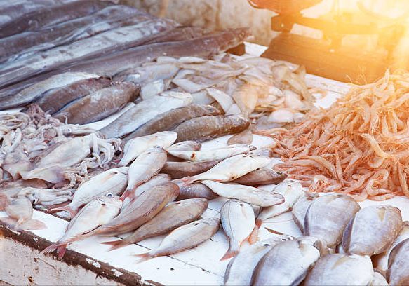 close up of a table with fresh fish