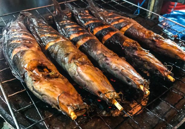 Close up Traditional Charcoal Roasted or Grilled Catfish on earthen oven, Authentic Thai street food. Favorite side dish menus having along with Som Tum or Thai spicy papaya salad. Bangkok, Capital of Street Food, Thailand, Southeast Asia