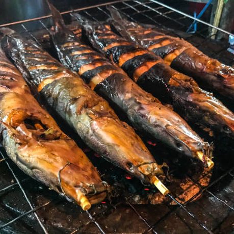 Close up Traditional Charcoal Roasted or Grilled Catfish on earthen oven, Authentic Thai street food. Favorite side dish menus having along with Som Tum or Thai spicy papaya salad. Bangkok, Capital of Street Food, Thailand, Southeast Asia
